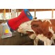 Spazzola HAPPY COW completa set.ex art. 560 901HCEU