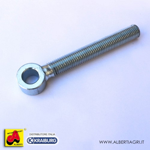 Vite cerniera cancelli M20x160