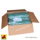 565 TH5G980025160_b Telo prot.paglia Agri-best 160 g/mq 9,8x25m 245mq