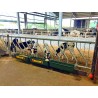 Rastrelliera inclinata per vitelli fino a 18 mesi  4m 10 posti /340mm18 mesi