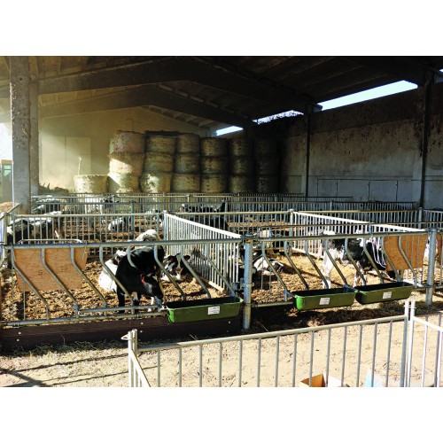 607 AMW07-DP6000C_e Rastrell.vit.inclin.6m 16p./335mm18 mesi