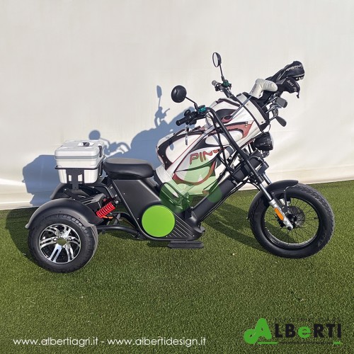 Moto elettrica golf