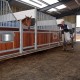 BELMONDO Basic per box/corridoi