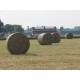 565 42031232_a Rete rotoballe Protector1,23x2100m gialla/verde