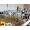 607 AMW03P6M60^27_a Rastrelliera divisoria 6mx0,974  60x27