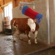 560 18880_c Spazzola oscill.Happy Cow swing
