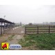 607 I-5BW2_i Cancello pascolo 2-3m reg.c/ferr.